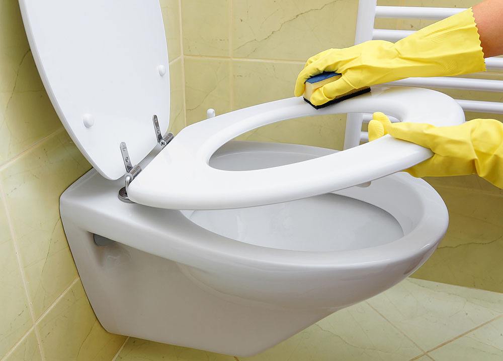 为什么美国的女厕所，马桶前会有一个缺口？